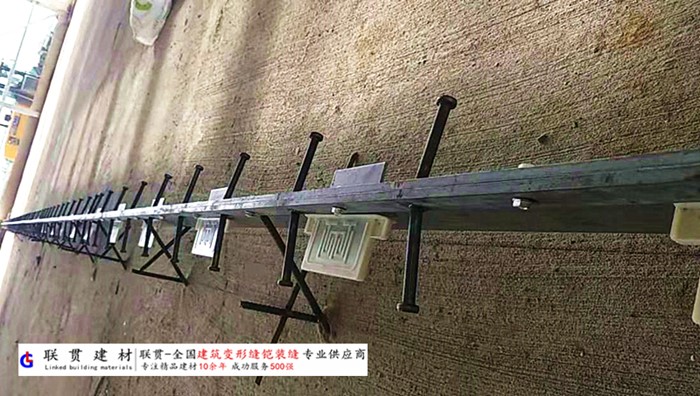 巢湖市铠甲缝施工案例
